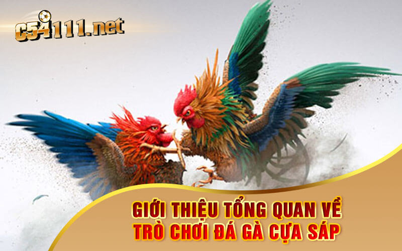 Giới Thiệu Tổng Quan Về Trò Chơi Đá Gà Cựa Sáp