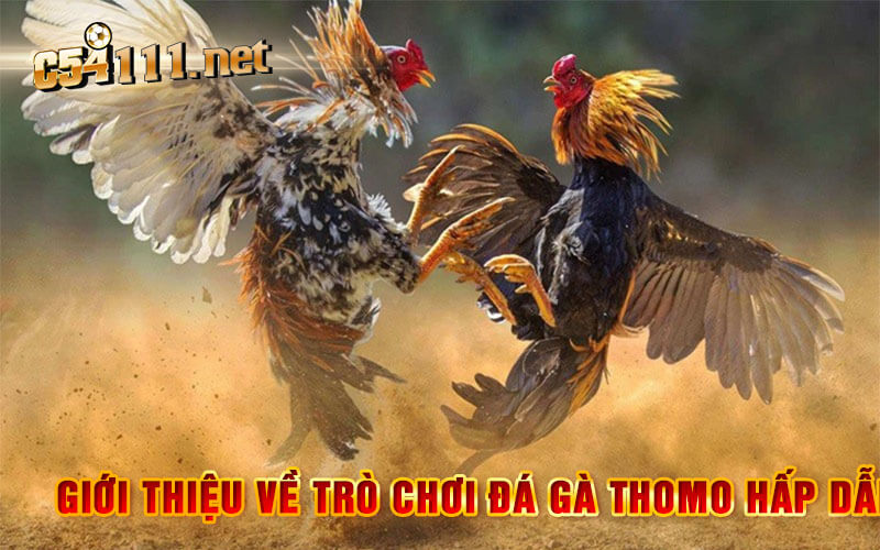 Giới Thiệu Về Trò Chơi Đá Gà Thomo Hấp Dẫn