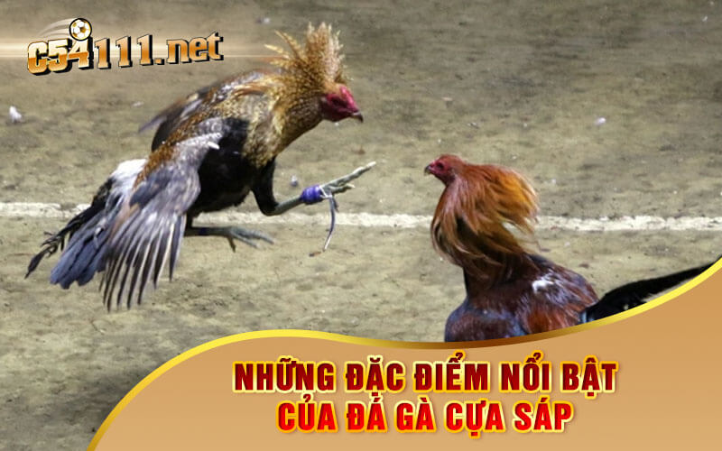 Những Đặc Điểm Nổi Bật Của Đá Gà Cựa Sáp